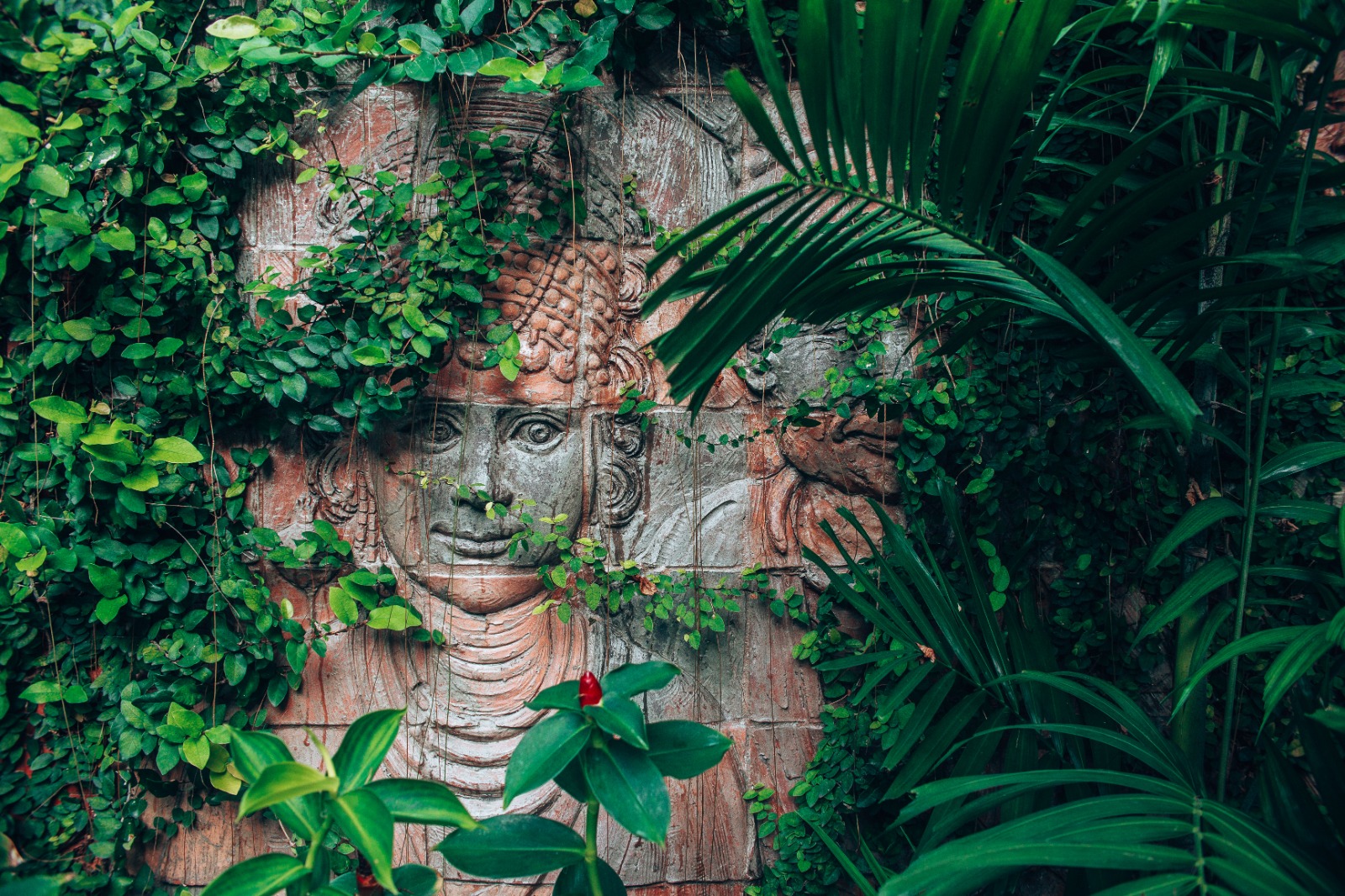 Cabeza de piedra esculpida en estilo maya, en un entorno selvático típico de los sitios arqueológicos del norte de Guatemala. Imagen de referencia. (Foto Prensa Libre: Shutterstock)