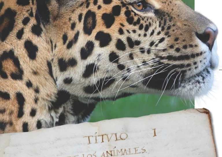 La fauna y flora que observó fray Francisco Ximénez hace 3