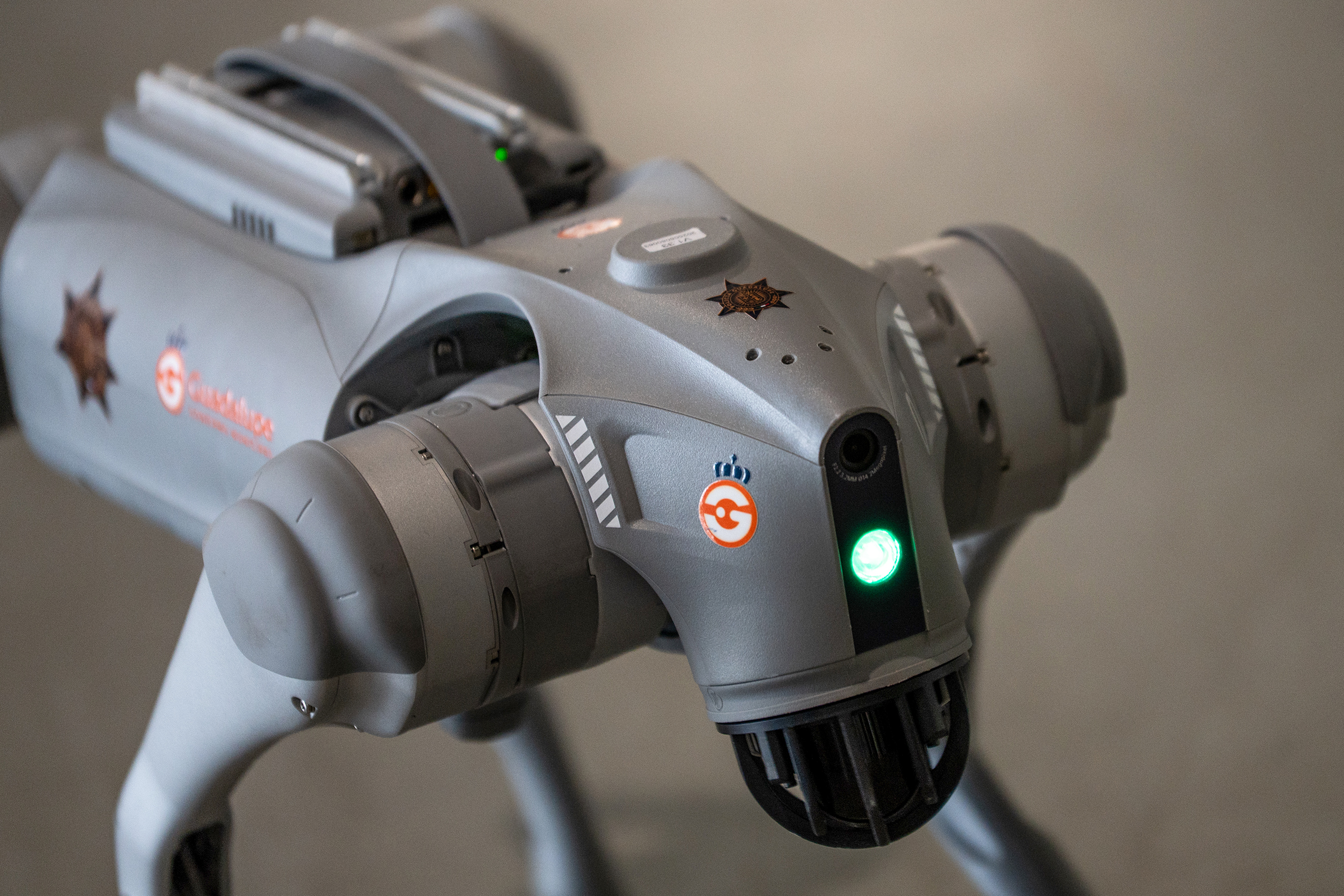 Bartolito y su “escuadra”: el plan de perros robot que El Salvador suma a su aeropuerto
