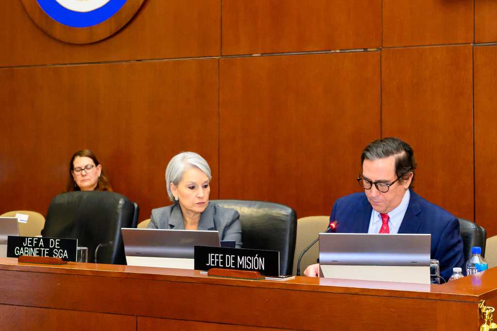 Carlos Ayala Corao, jefe de la Misión Especial de la OEA para el fortalecimiento de las instituciones democráticas en Guatemala, durante su presentación ante el Consejo Permanente.