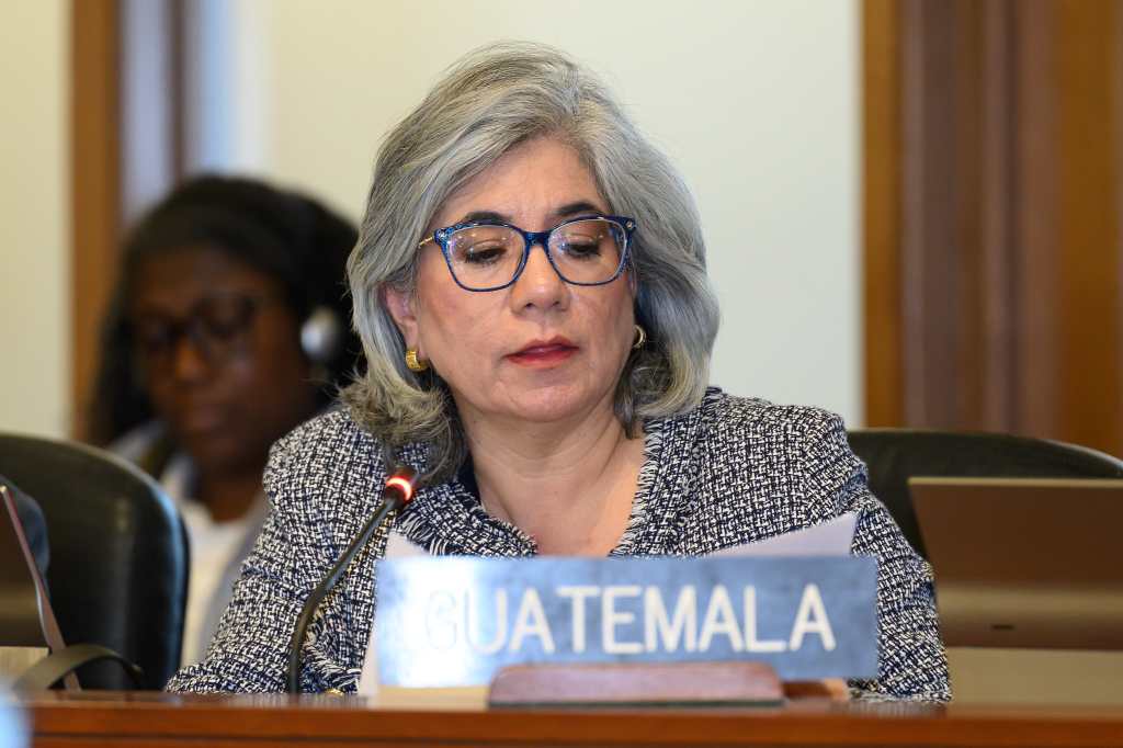 Claudia Escobar durante la sesión de actualización de la Misión Especial de la OEA en Guatemala