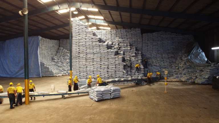 Qué productos exportó más Guatemala en el 2