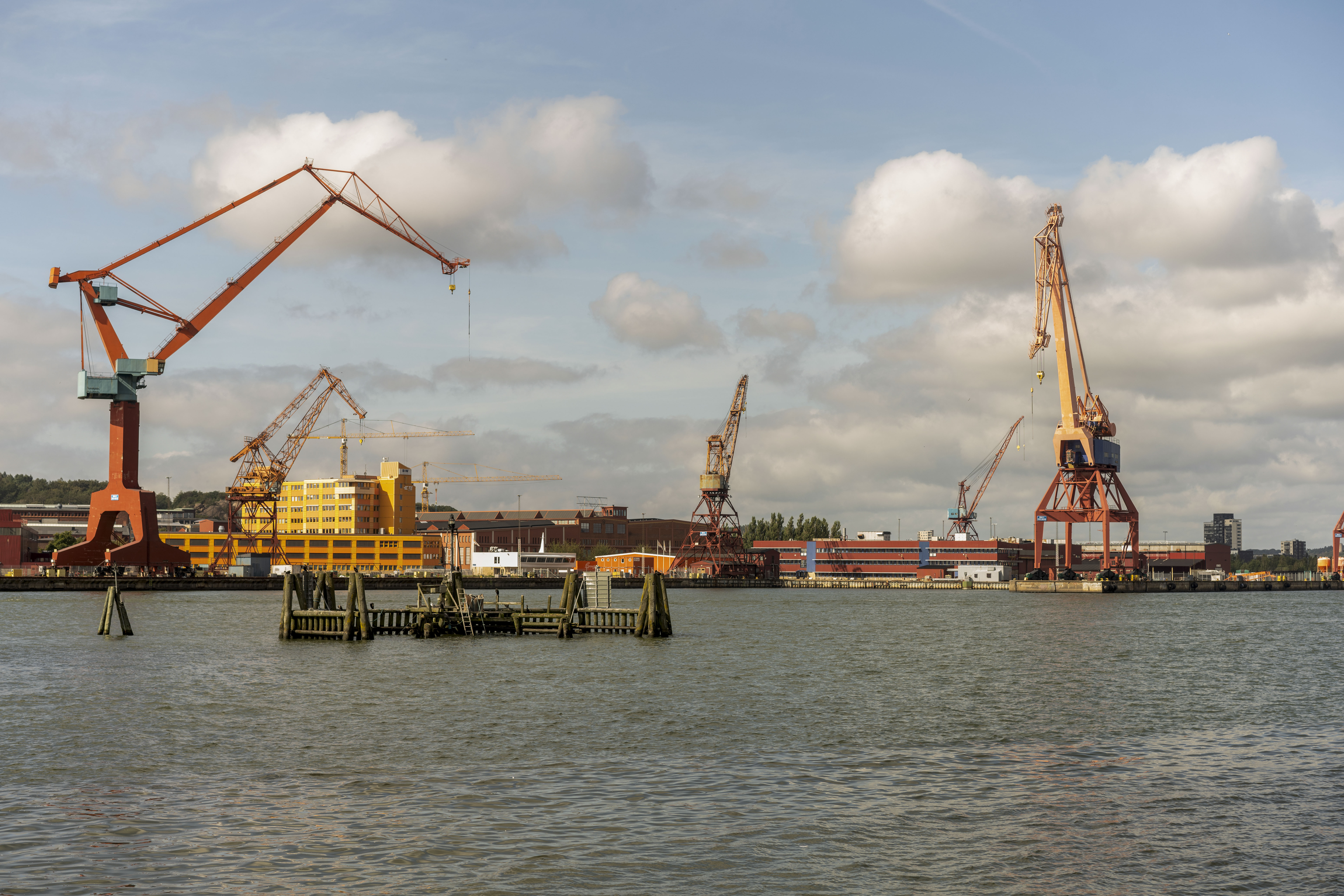 Suecia considera adoptar el euro como moneda.