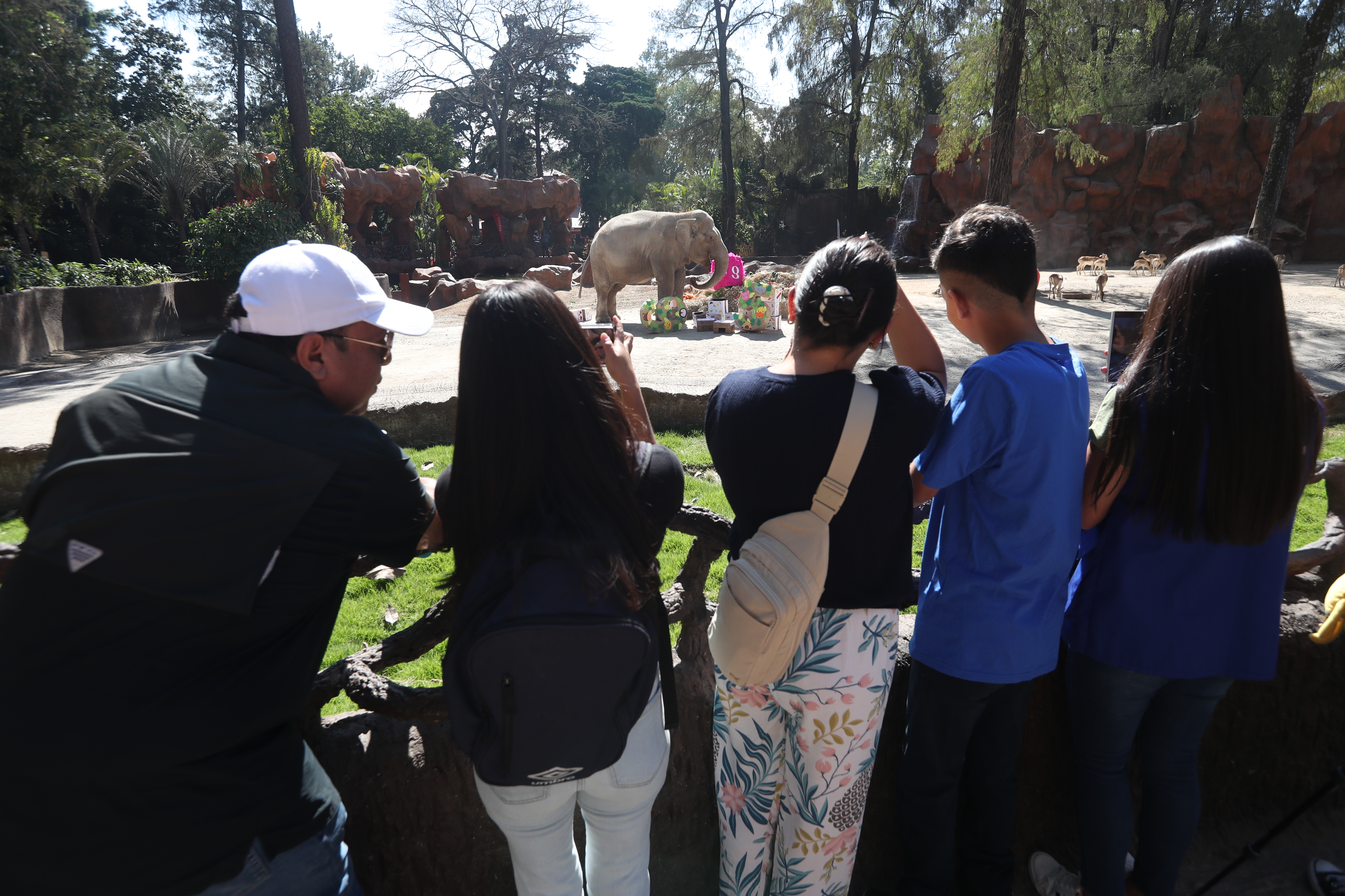 CUMPLEAÑOS 65 TROMPITA LA ELEFANTA