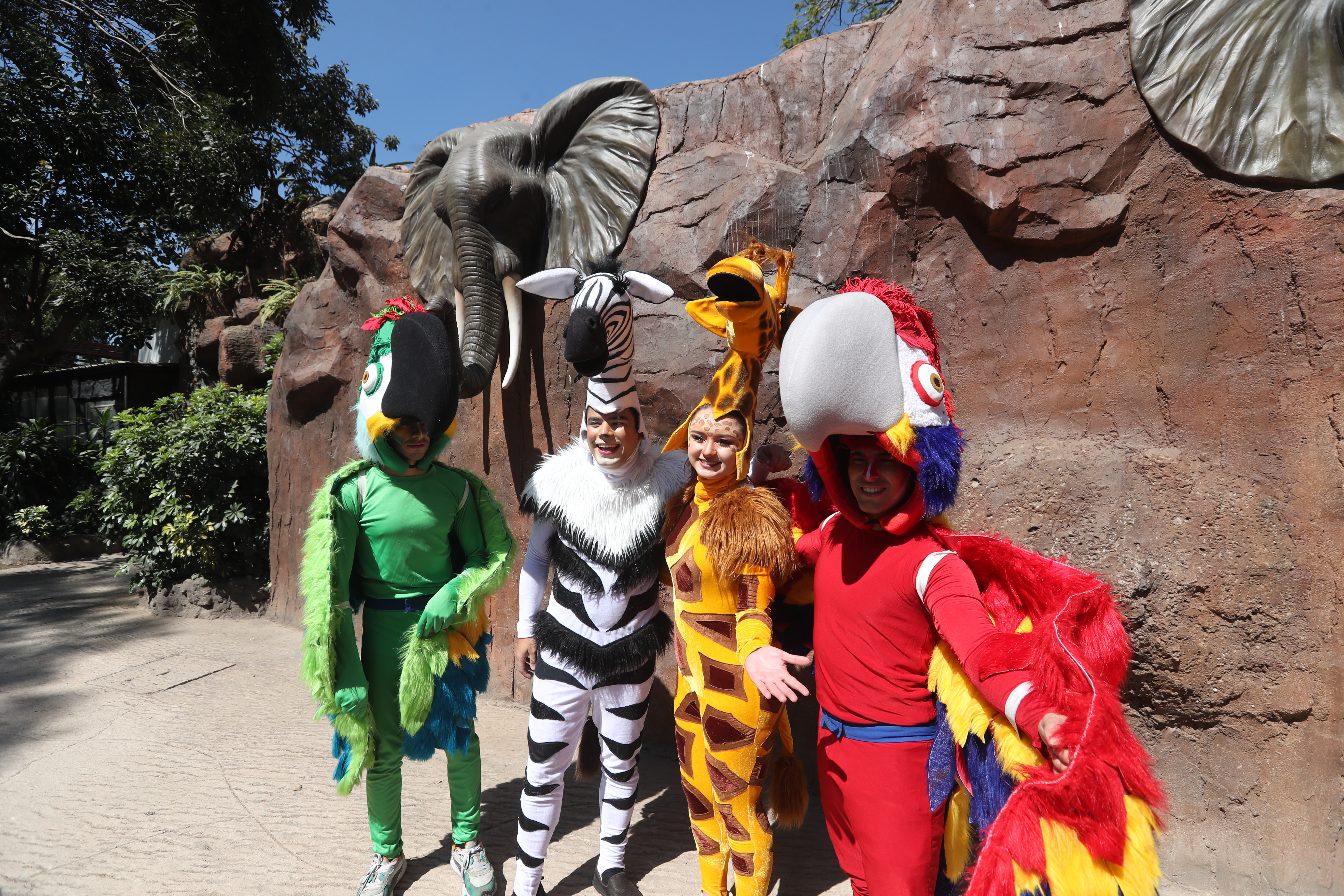 CUMPLEAÑOS 65 TROMPITA LA ELEFANTA'