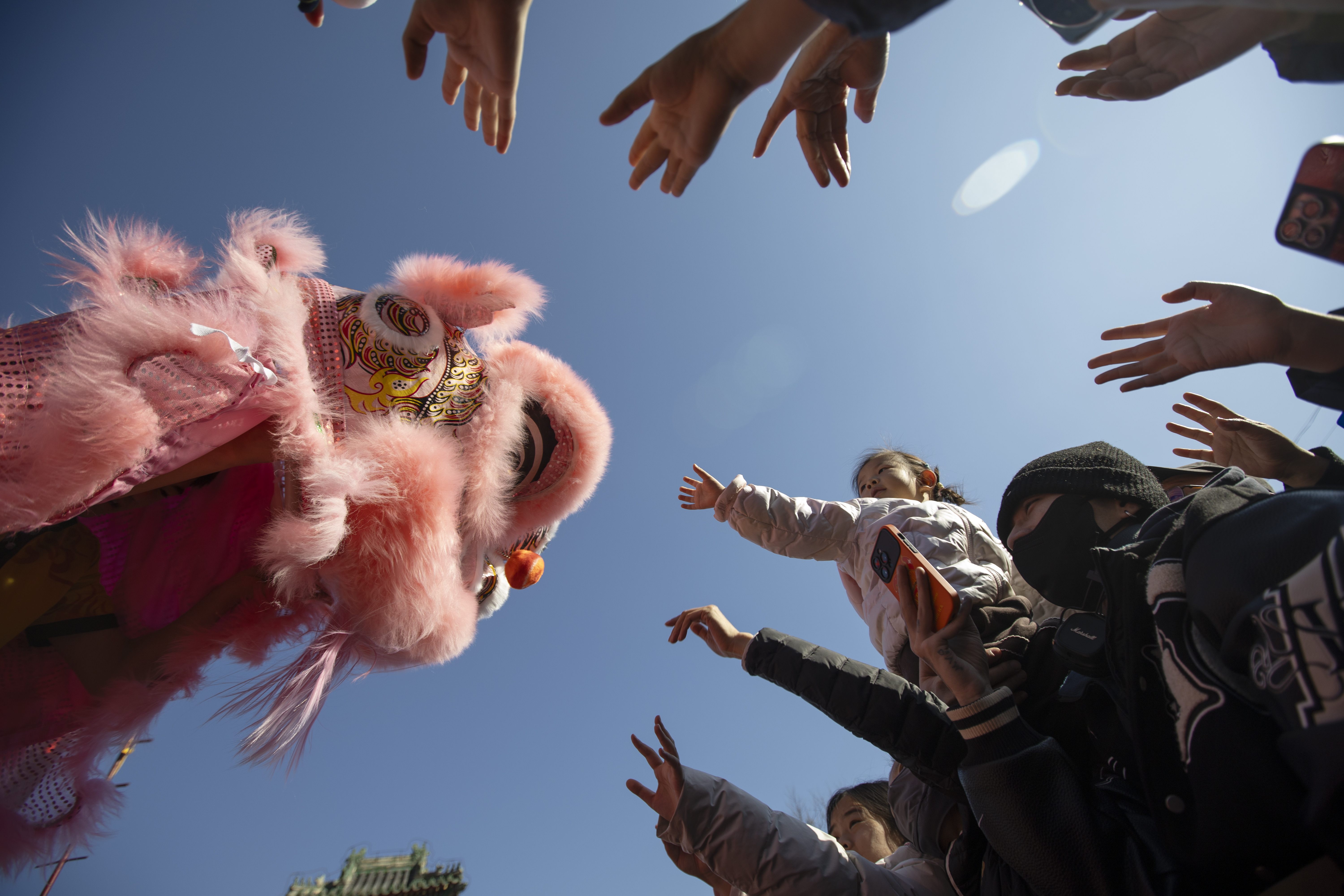 NUEVO AÑO CHINO 2026'