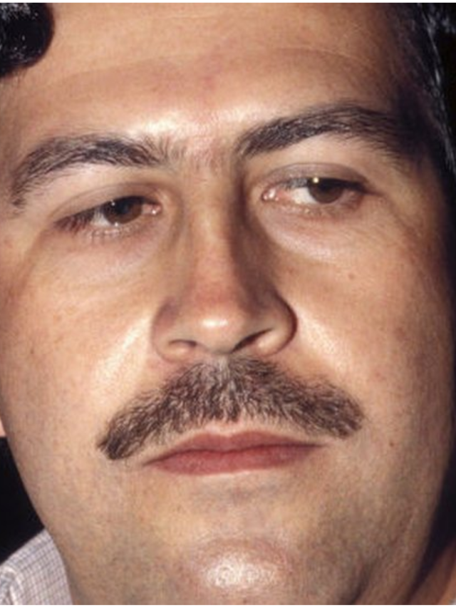 Los líderes de cárteles que fueron abatidos por las autoridades