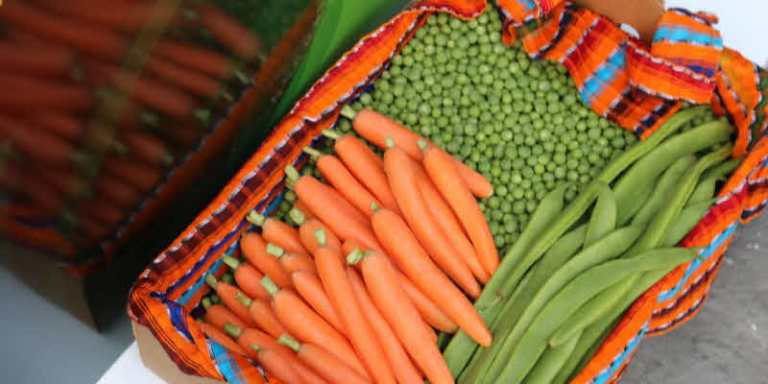 Agexport solicita a EE. UU. reconsiderar arancel del 1