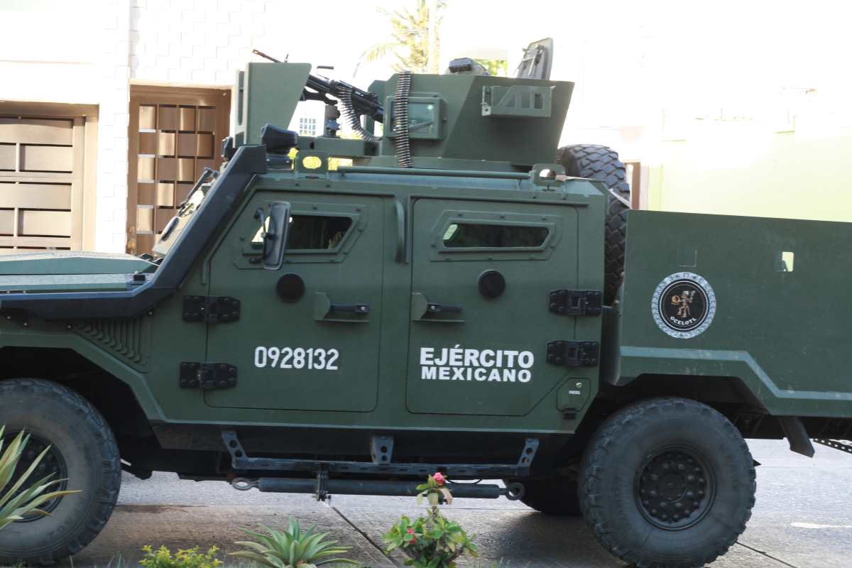 (Foto Prensa Libre: Shutterstock)