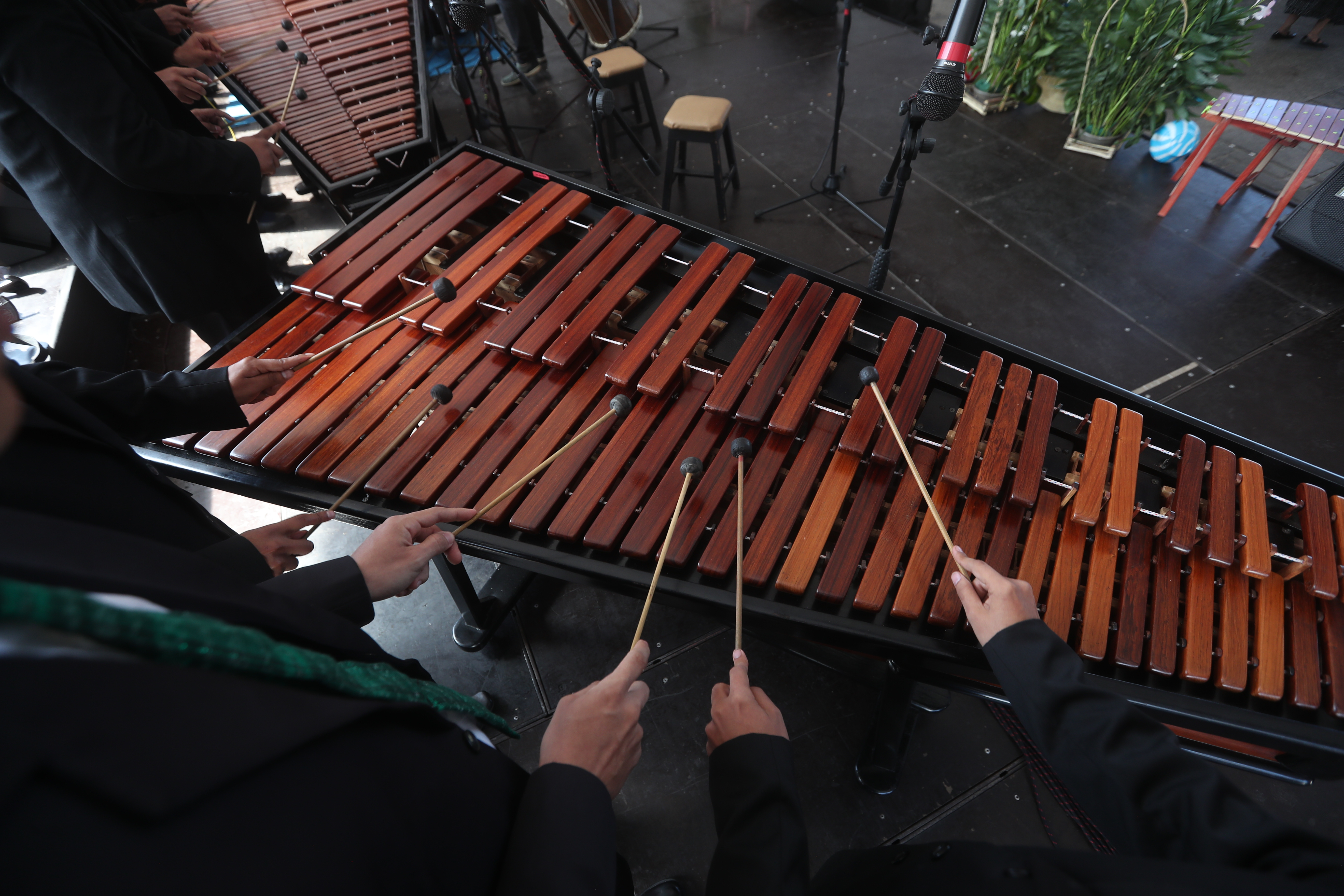 ¿Quién sostendrá la marimba? El instrumento que resiste el tiempo y sigue escribiendo la historia musical y cultural del país