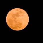 Skopje (Republic of North Macedonia), 03/03/2026.- The March 2026 Full Moon, known as the Worm Moon rises over Skopje, Republic of North Macedonia, 03 March 2026. A total lunar eclipse occurs when the Earth is positioned between the full moon and the sun, causing the full moon to appear with a red glow, known as a Blood Moon. EFE/EPA/GEORGI LICOVSKI