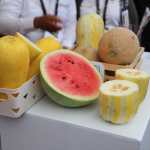 Compradores internacionales que participan en la Agritrade Expo, en Antigua Guatemala, están a la expectativa de que pueda resolverse el tema arancelario. (Foto Prensa Libre: Cortesía)