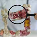 (Foto Prensa Libre: Shutterstock)