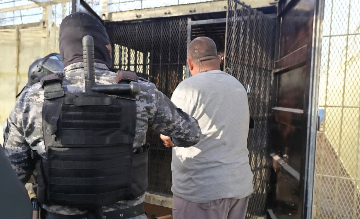 EL LOBO. REQUISA RENOVACIÓN 1