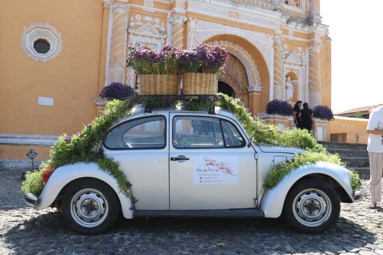 Festival de la estaticia 2