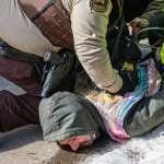 Alerta ICE Estados Unidos Alerta ICE Estados Unidos