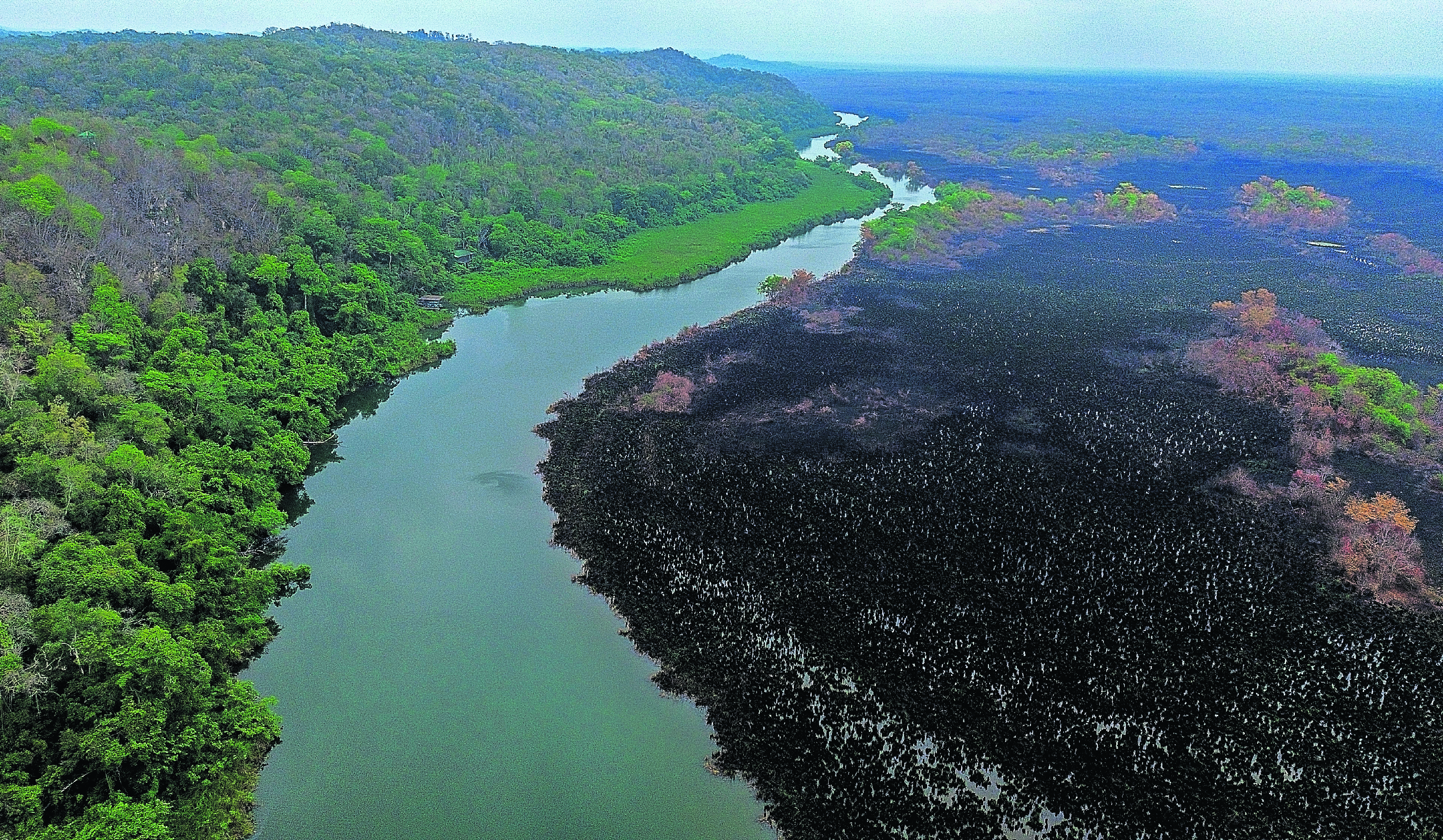 En la imagen se observan áreas invadidas dentro de la Laguna del Tigre por presuntos campesinos, un problema que lleva años y que carcome la selva. (Foto Prensa Libre: Hemeroteca PL)