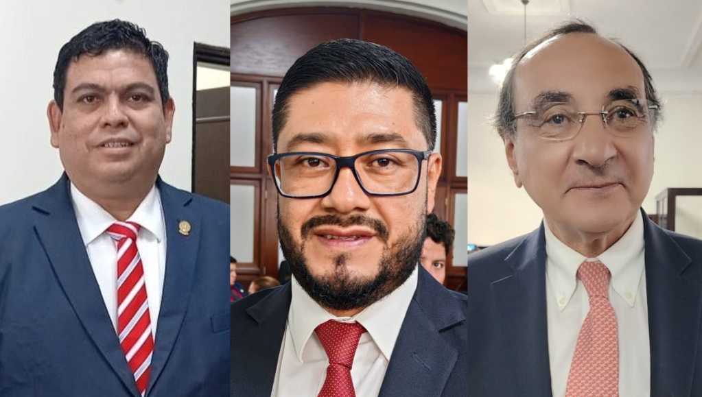 MAGISTRADOS ELECTOS TSE