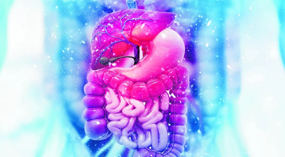 ¿Qué come un experto en microbioma intestinal?