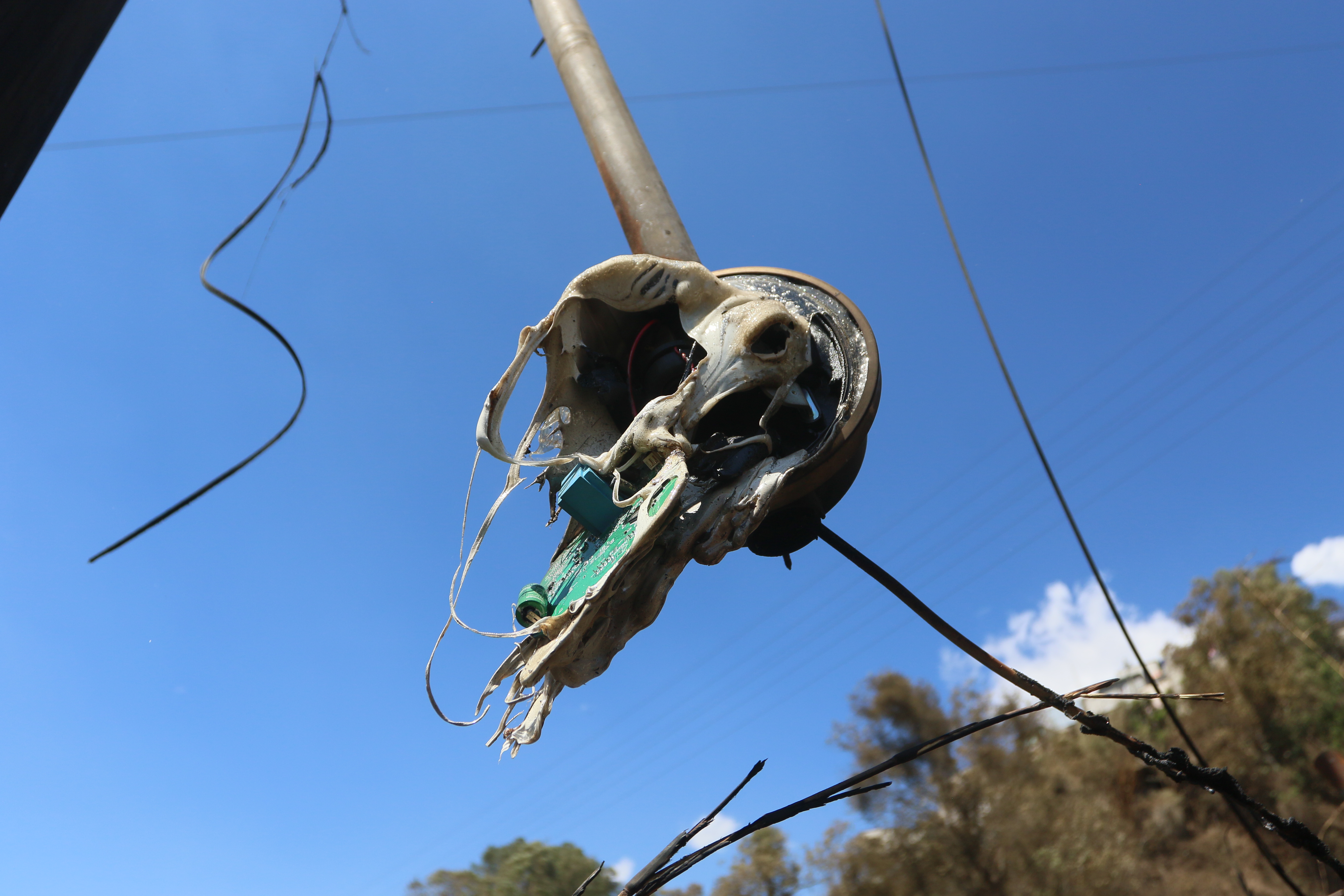 Incendio el Amparo II'