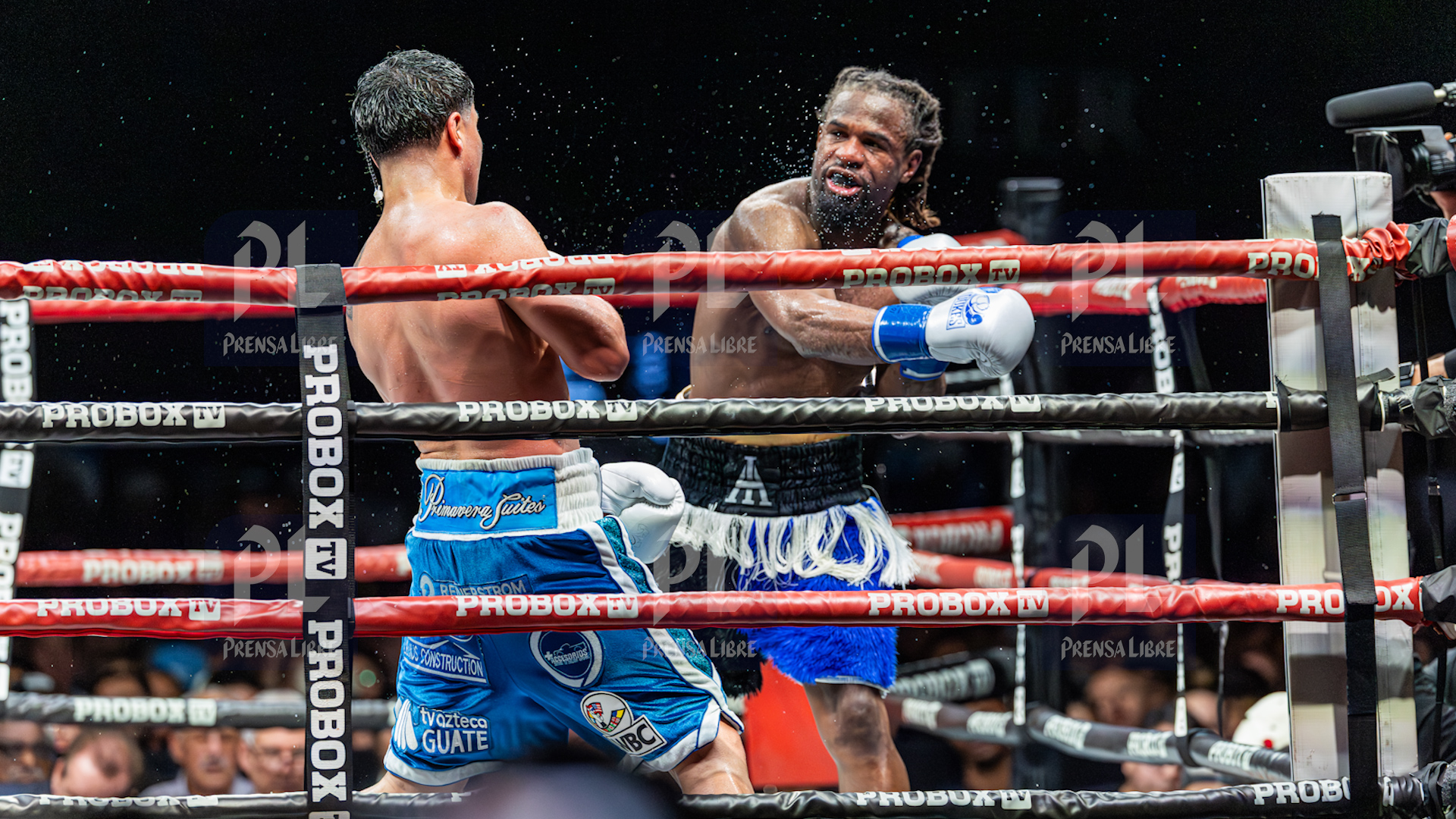 PELEA LESTER MARTINEZ'