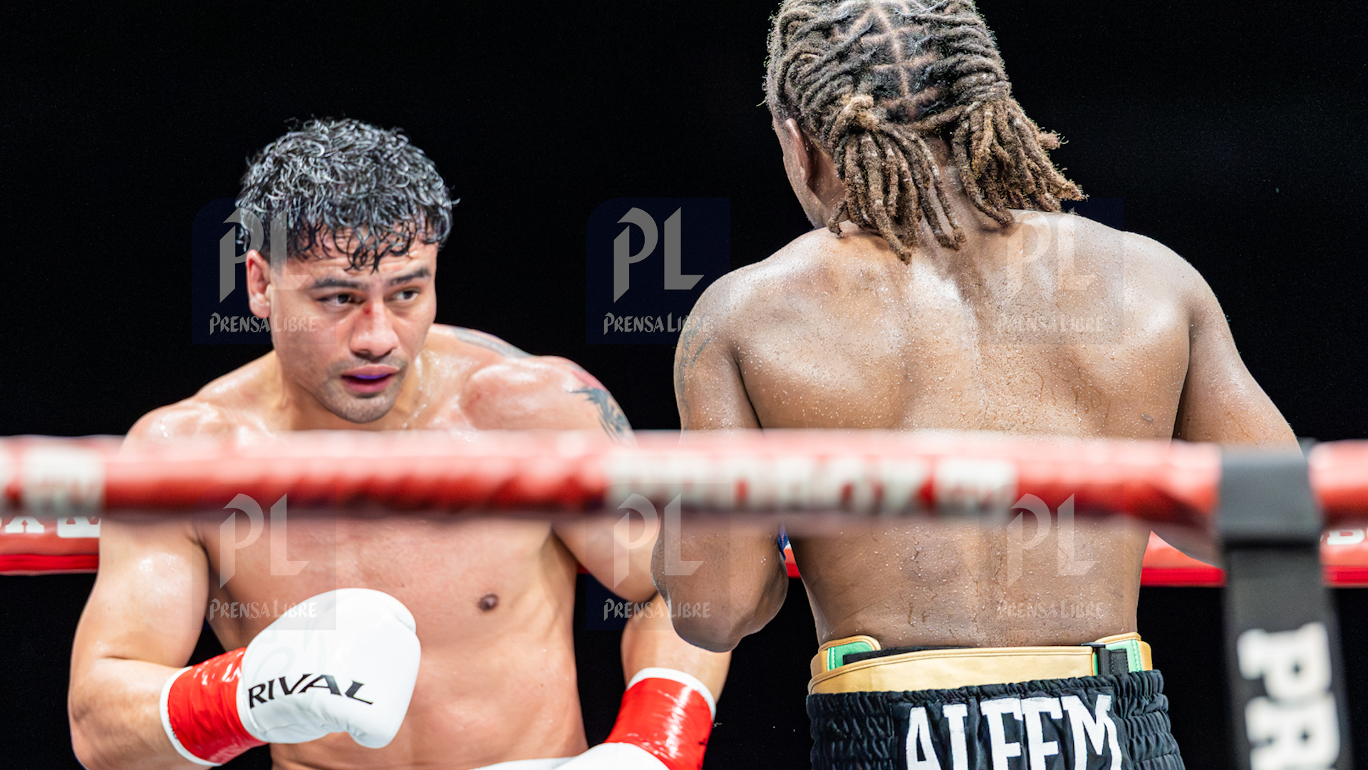 PELEA LESTER MARTINEZ