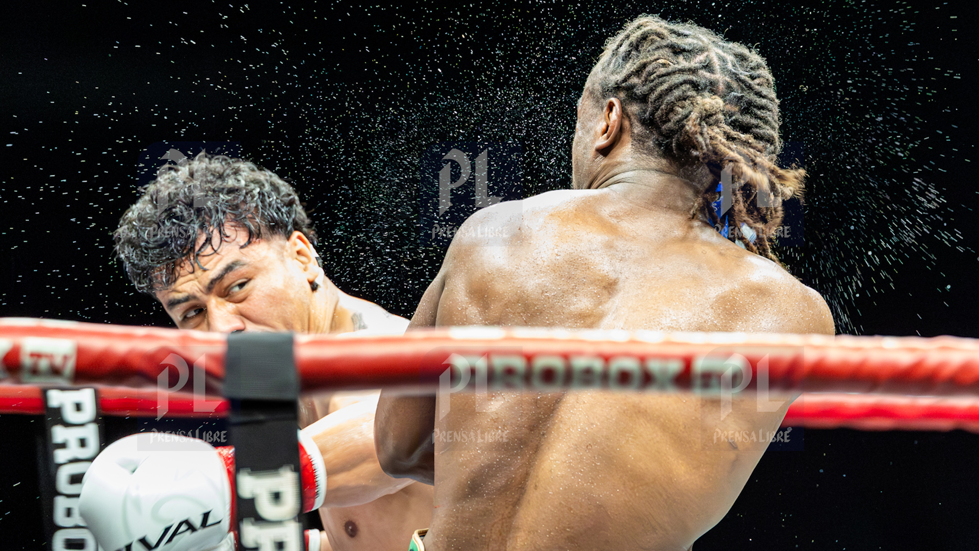 PELEA LESTER MARTINEZ'