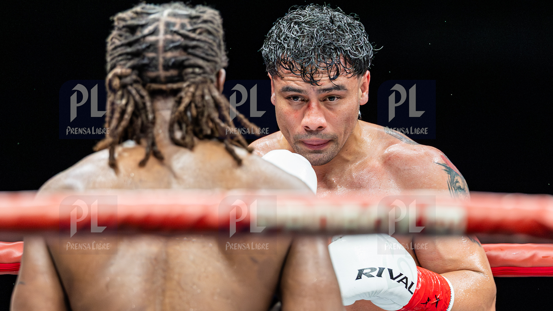 PELEA LESTER MARTINEZ'