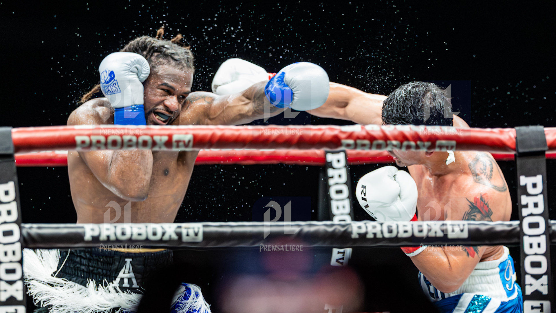 PELEA LESTER MARTINEZ'