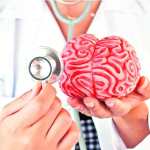 La meningitis causa inflamación en el cerebro. (Foto Prensa Libre: Shutterstock)