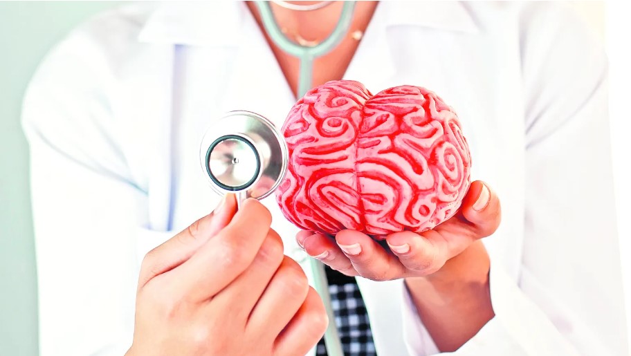 La meningitis causa inflamación en el cerebro. (Foto Prensa Libre: Shutterstock)