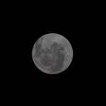 Imagen tomada de la pagina oficial de la NASA que muestra una fotografía de la de la cara oculta de la Luna captada por la tripulación de la misión Artemis II. (Foto Prensa Libre: EFE)