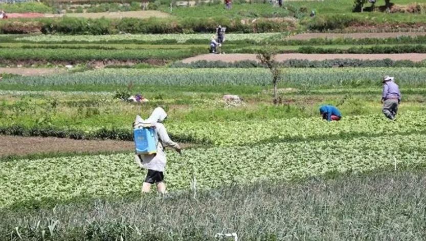 Agricultura productores cultivando alza combustibles y fertlizantes