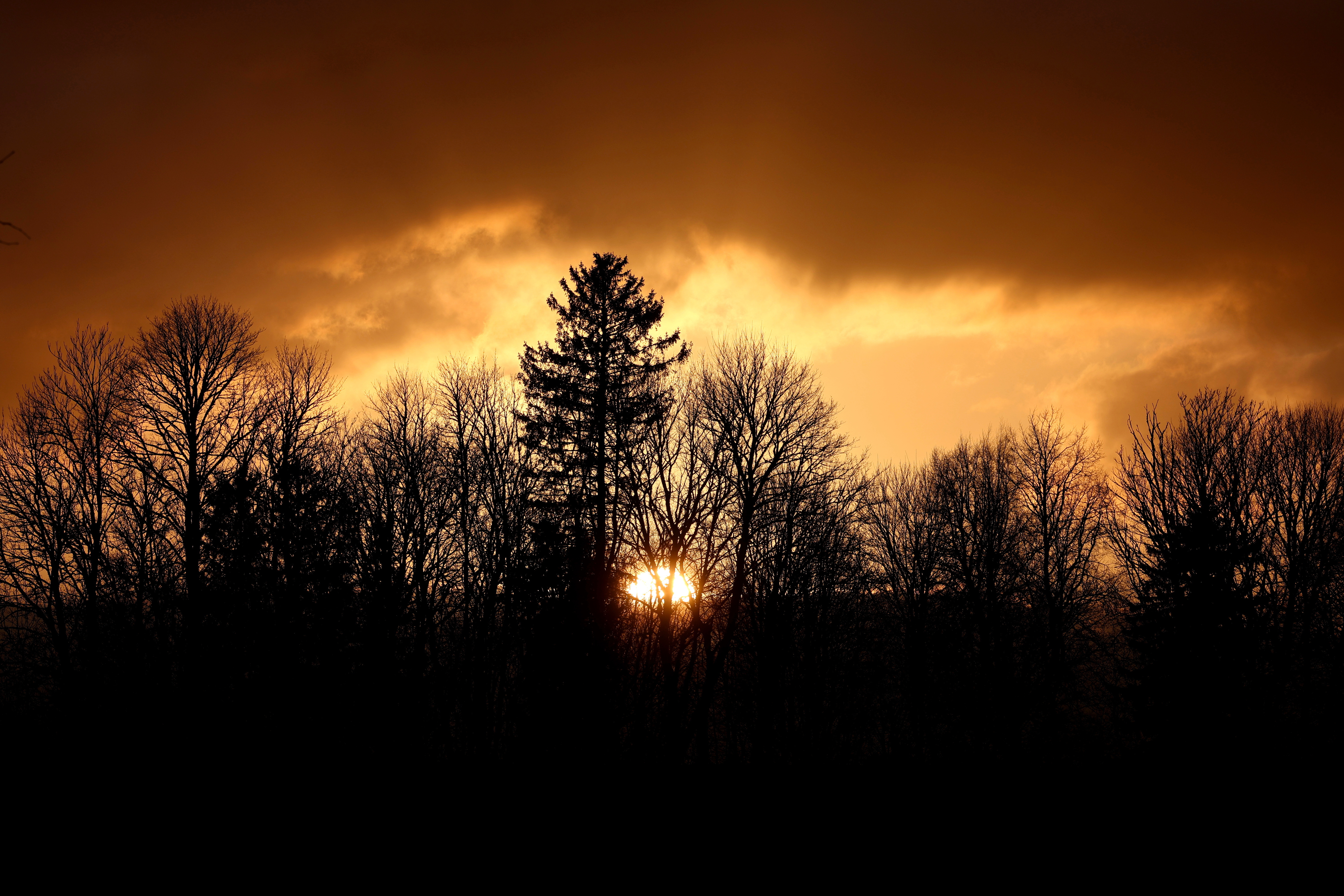 Clima en Estados Unidos