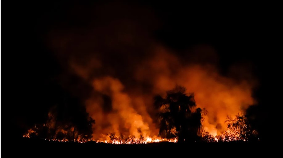 Científicos advierten de los peligros de incendios forestales para la salud. (Foto Prensa Libre: EFE)