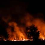 Científicos advierten de los peligros de incendios forestales para la salud. (Foto Prensa Libre: EFE)