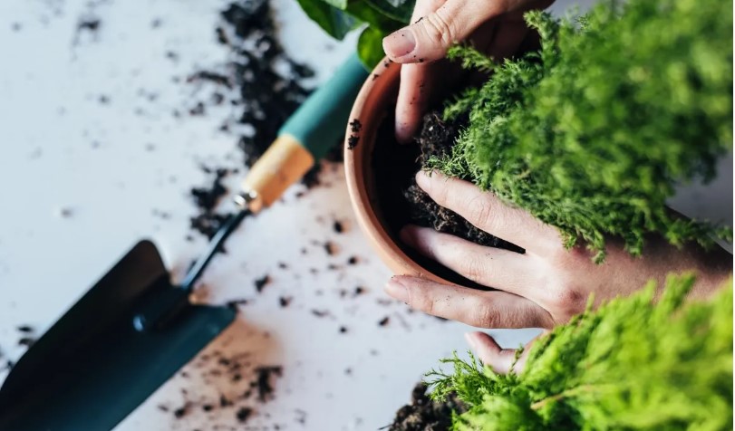 Esta sencilla actividad es sorprendentemente buena para el cerebro