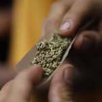 Marihuana Estados Unidos