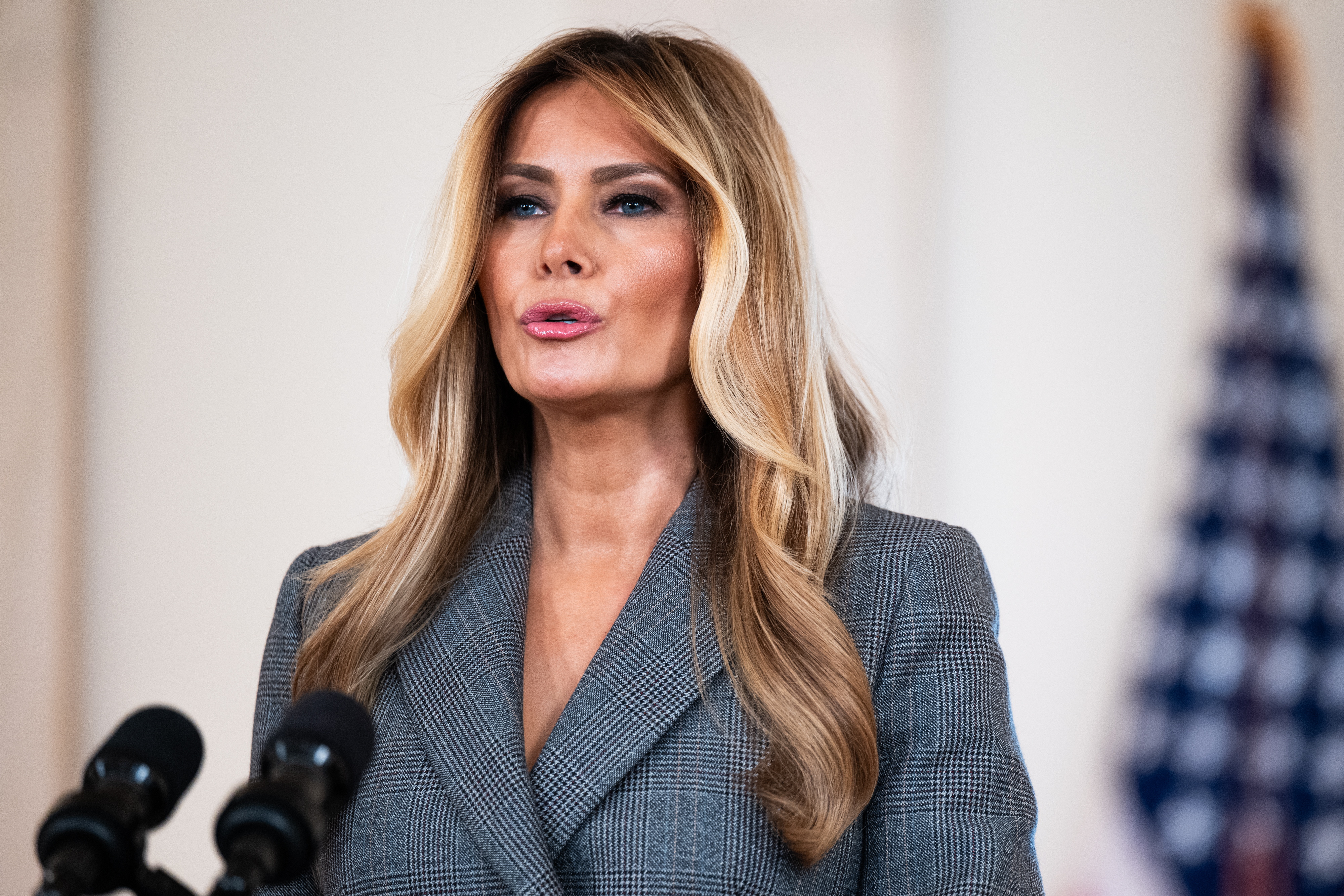 First Lady Melania Trump denies Epstein ties