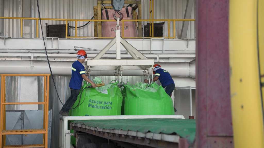 La Junta Monetaria confirmó que la economía estaría cerrando en 4.1% en el 2026 y en 4% en el 2027, en la revisión realizada esta semana. (Foto Prensa Libre: Cortesía Asazgua)