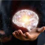 (Foto Prensa Libre: Shutterstock)