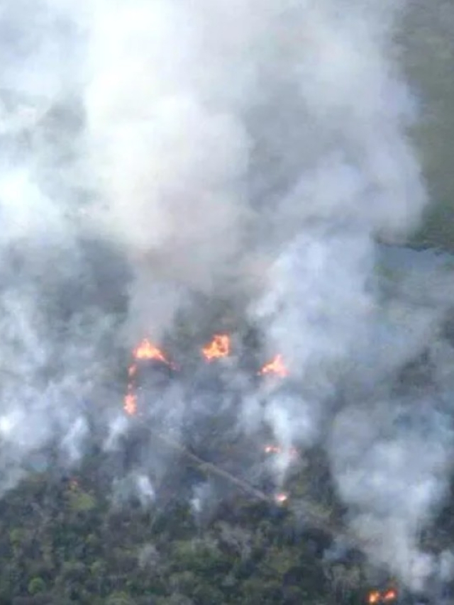 Petén es el más vulnerable respecto a incendios forestales