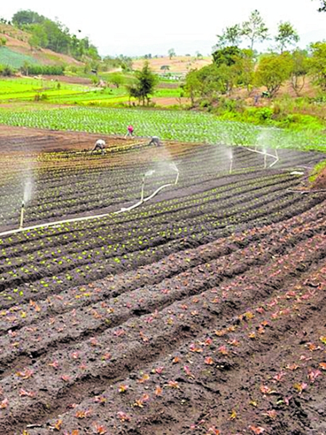 El Niño podría prolongar la canícula en Guatemala