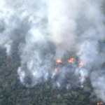 En cada temporada de incendios, Petén se convierte en el departamento más vulnerable, al consumirse cientos de hectáreas de bosque. (Foto Prensa Libre: Hemeroteca PL)