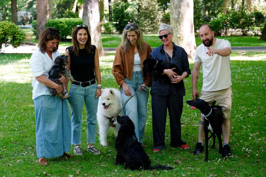 AcuPet Health monitoriza la salud de los perros para prevenir enfermedades
