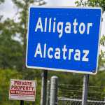 Una vigilia por el Día de la Madre exige el cierre del centro de detención Alligator Alcatraz en Florida.