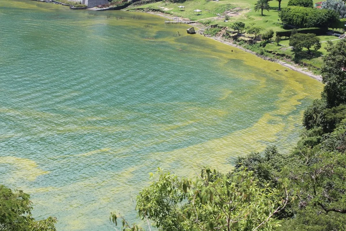 Panorámica del Lago de Atitlán con presencia de cianobacterias en la orilla durante alerta ambiental