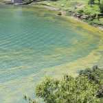 Panorámica del Lago de Atitlán con presencia de cianobacterias en la orilla durante alerta ambiental