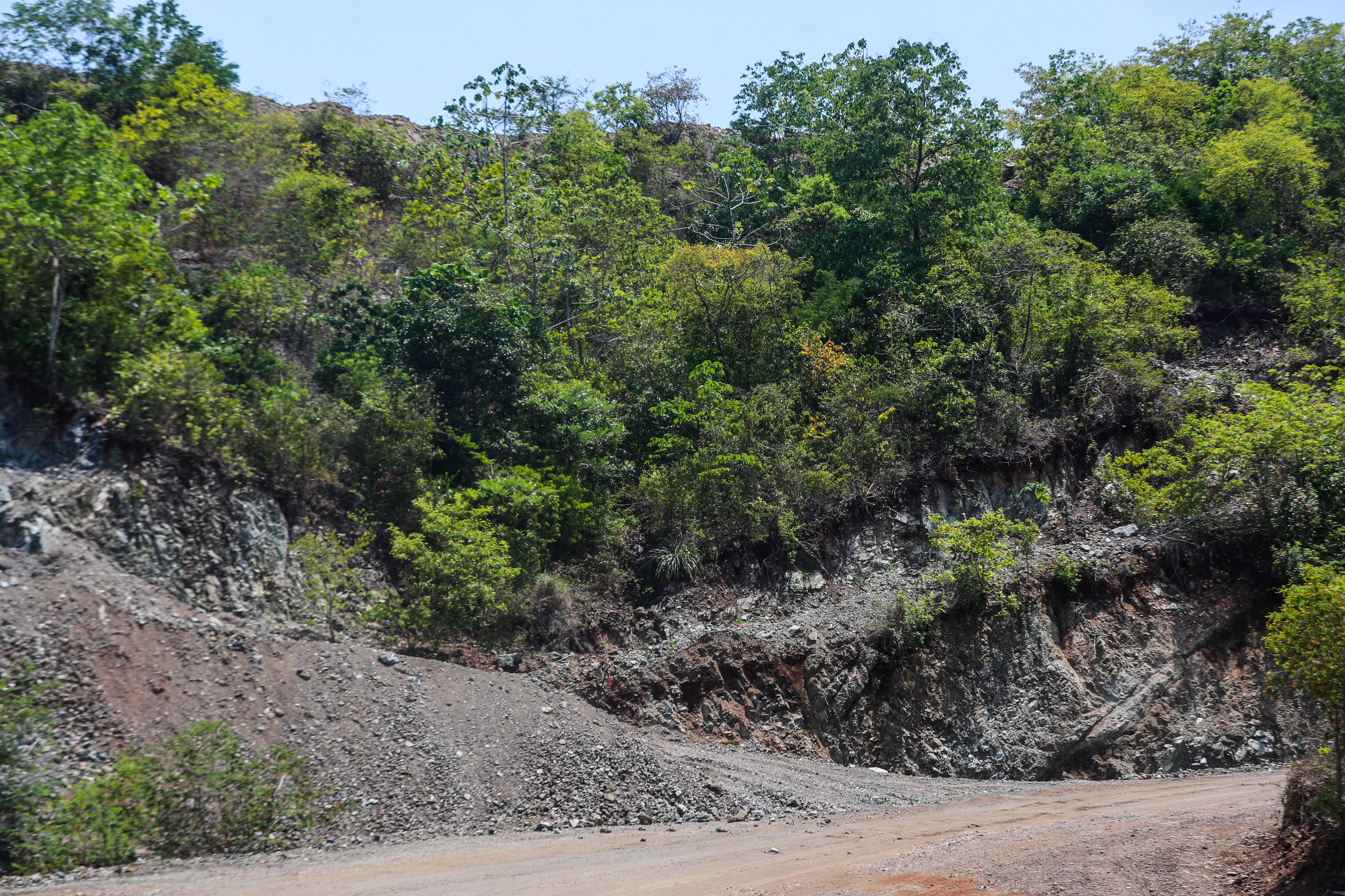 Una inversión también importante fue la construcción de una subestación eléctrica de 230 kilovatios con una inversión estimada de US$24 millones. En la imagen, área de recuperación ambiental en donde ya se extrajo tierra y níquel. (Foto Prensa Libre: Juan Diego González)