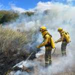 Brigadas combaten uno de los incendios forestales registrados en la actual temporada, la cual amenaza con extenderse debido al fenómeno de El Niño.